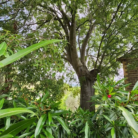 Semesterbostad Casale Torre Madre *