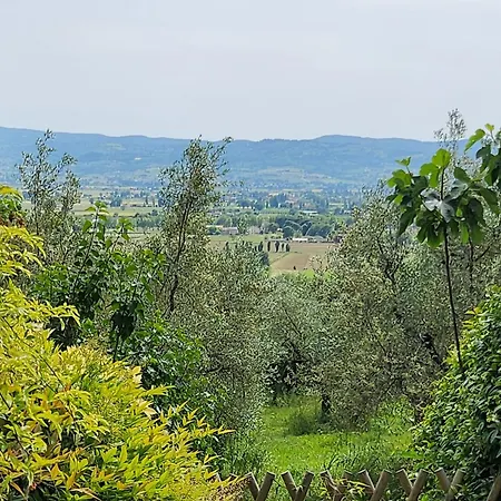 Casale Torre Madre * Ασίζη